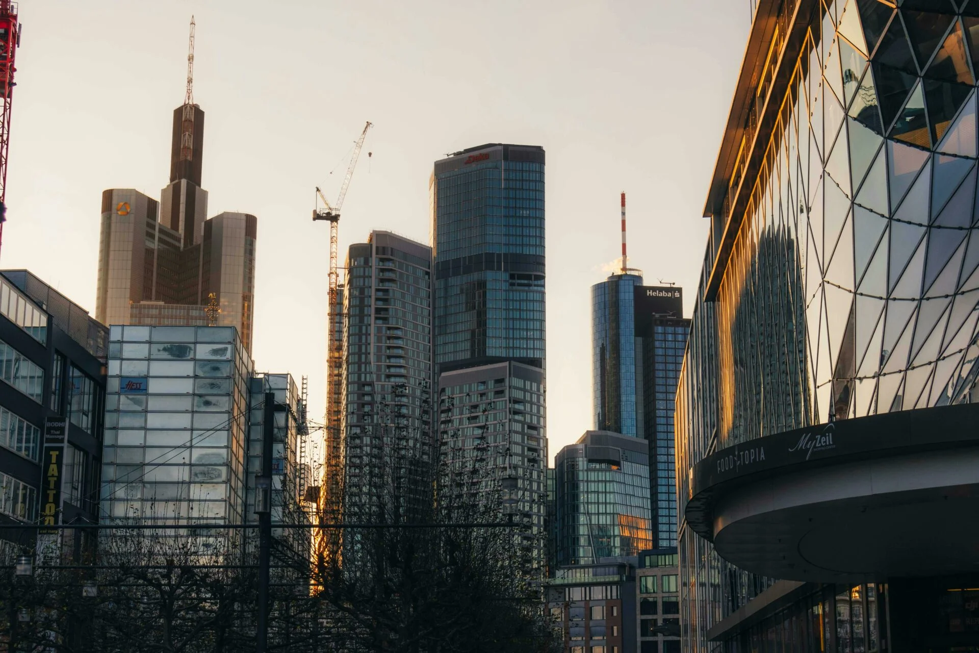 ©pexels.com-30320977/