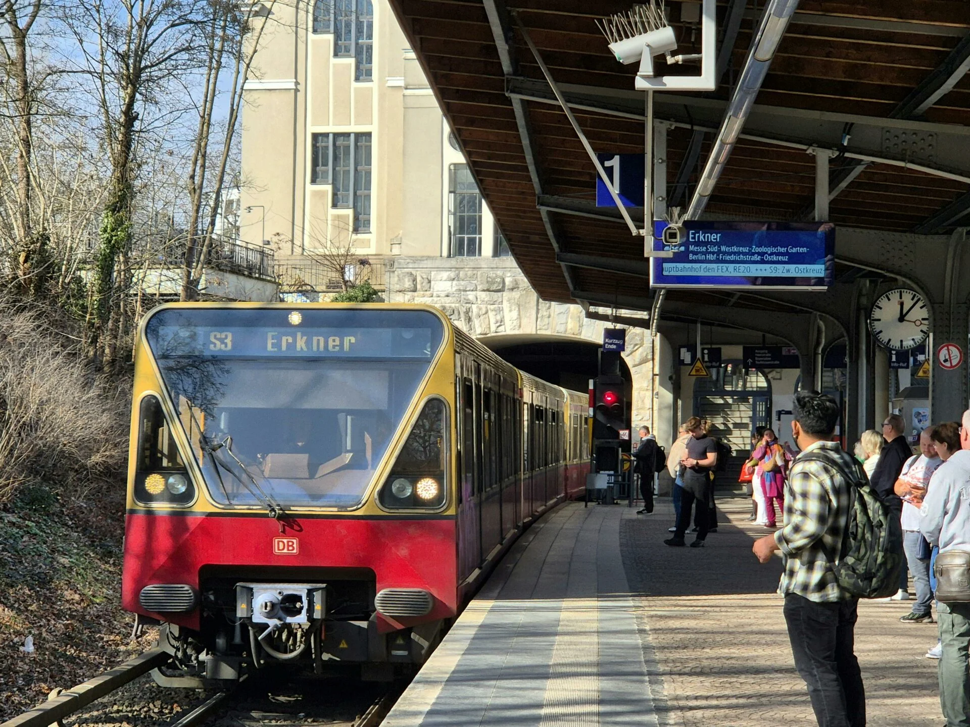 ©pexels.com-36361201/