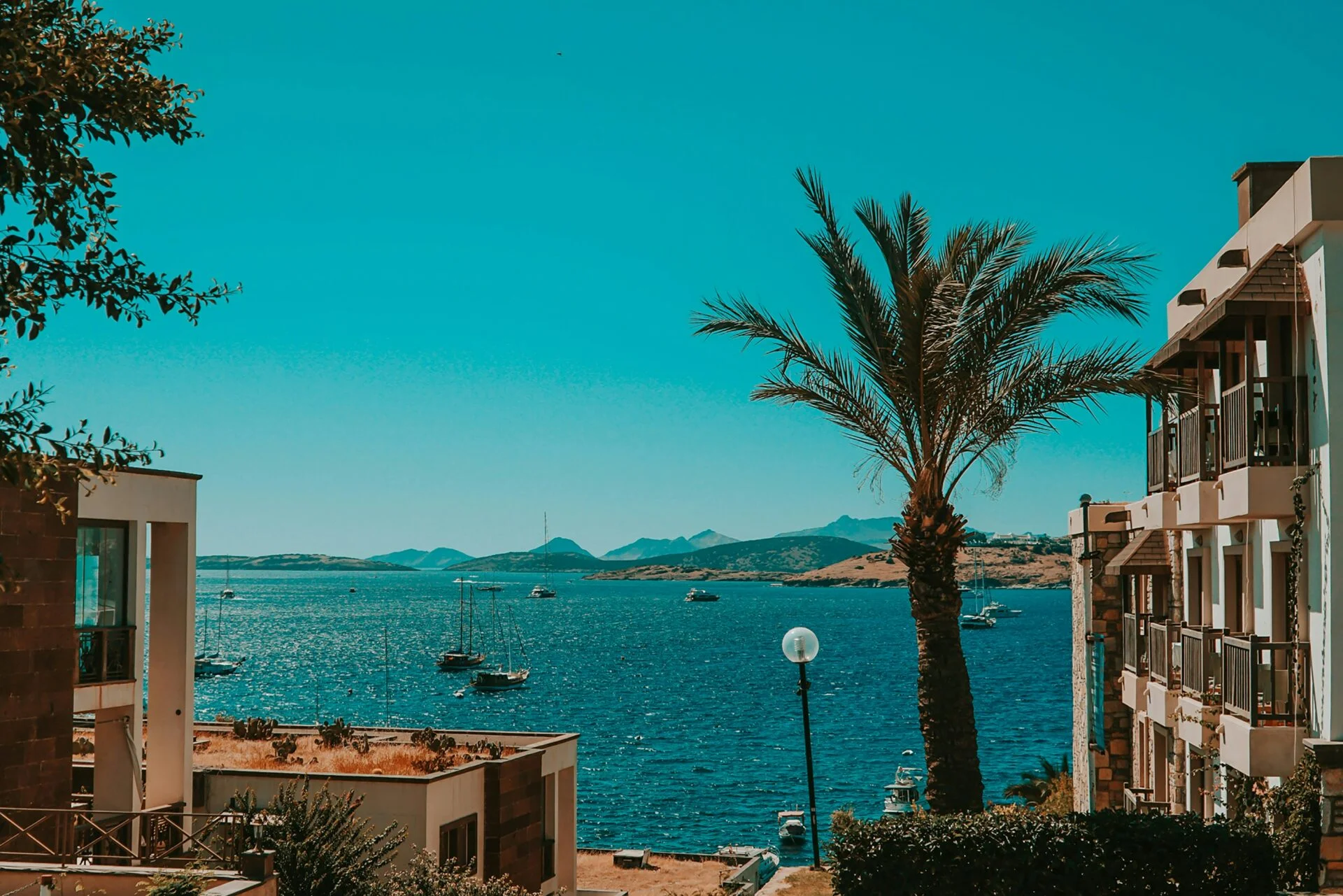 ©unsplash.com-GKXk4dxioCY