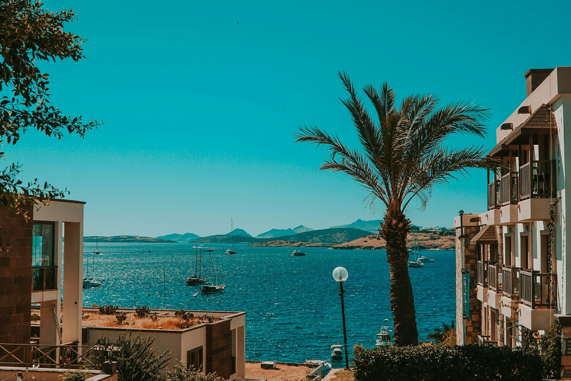 ©unsplash.com-GKXk4dxioCY