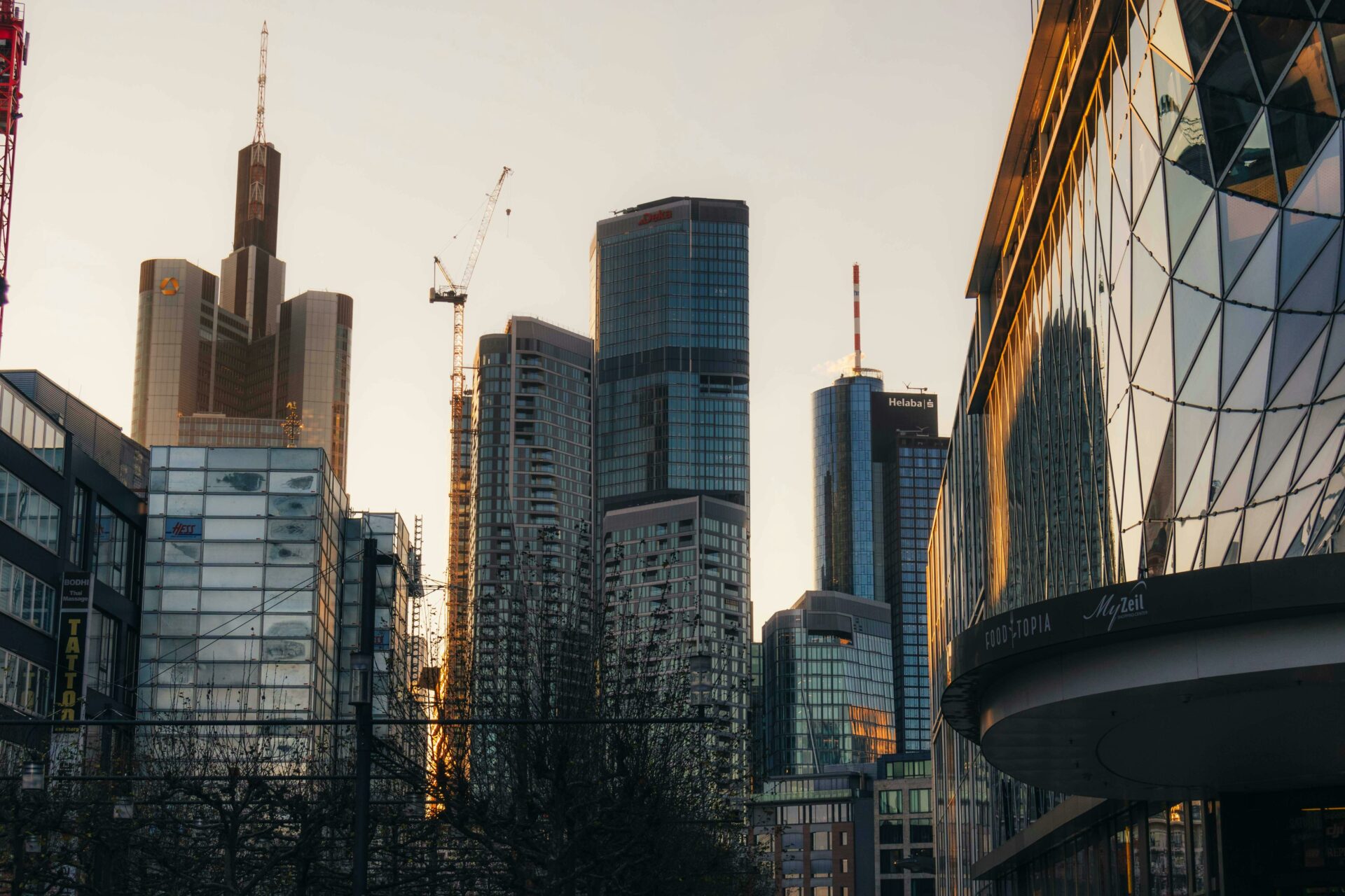 ©pexels.com-30320977/